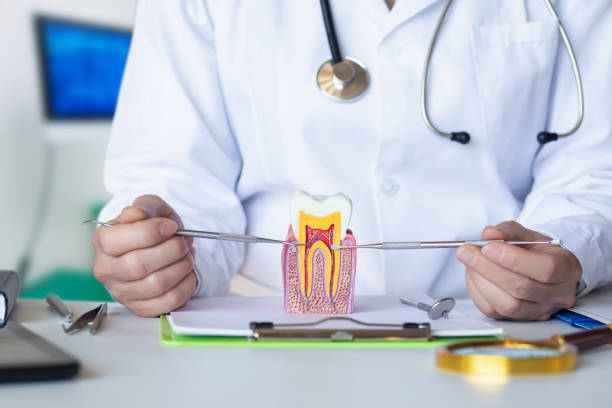 Best Urgent Dental Care for Toothache in Park View, IA